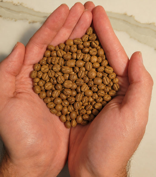 Whole coffee beans for S’mores Coffee Blend – Smooth Chocolate & Toasted Marshmallow – Light Roast by Caffeine.EXE